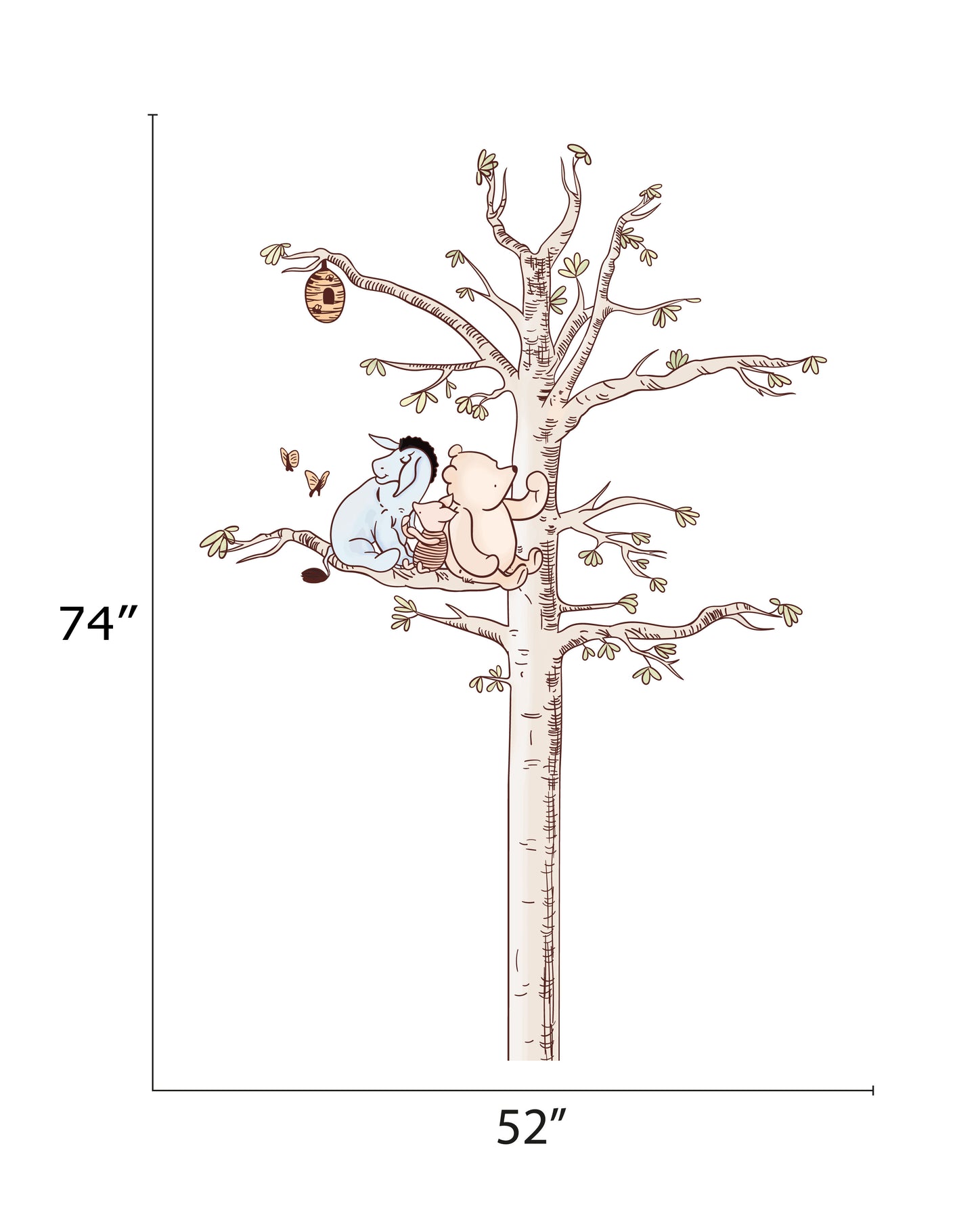measurement set-b