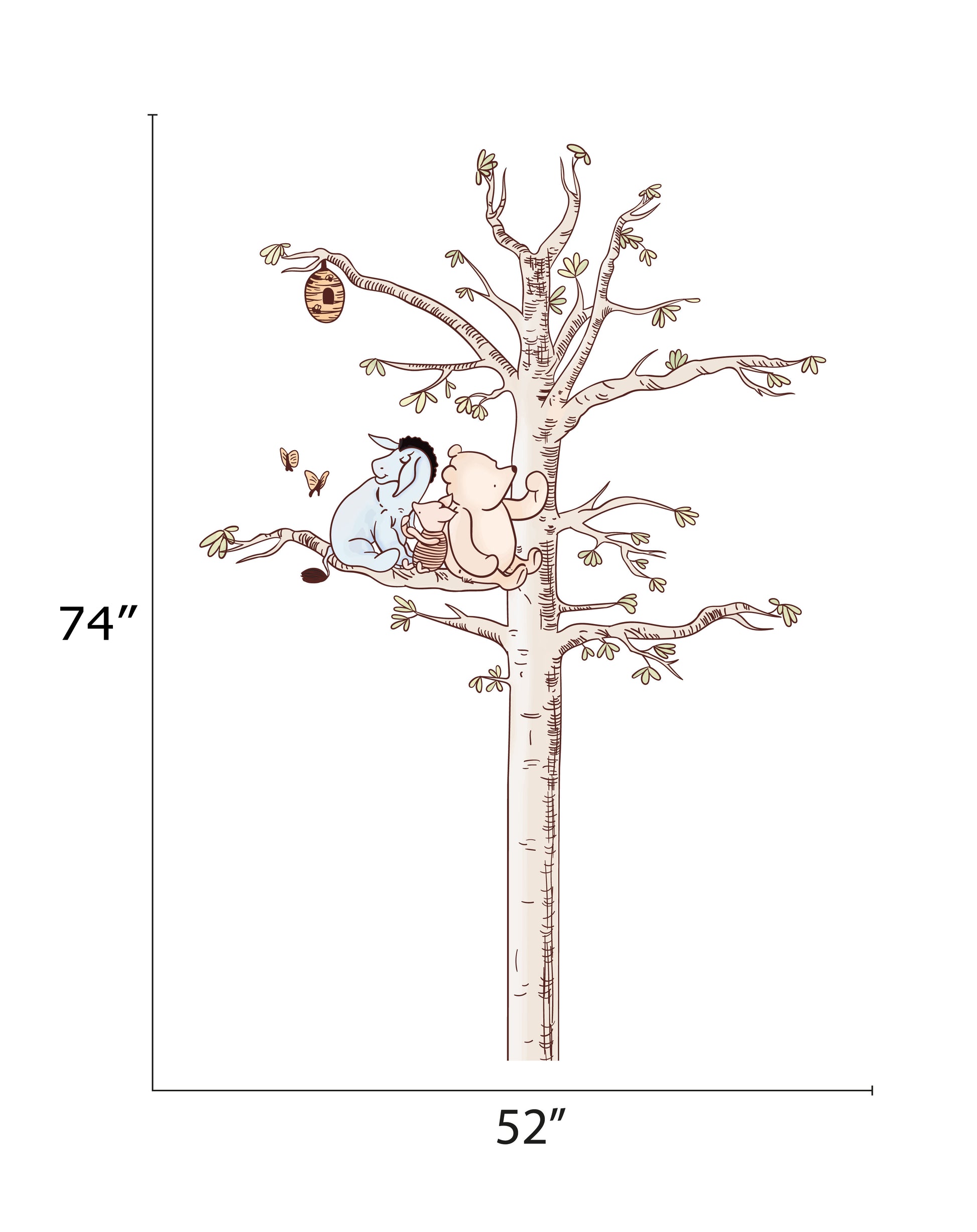 measurement set-b