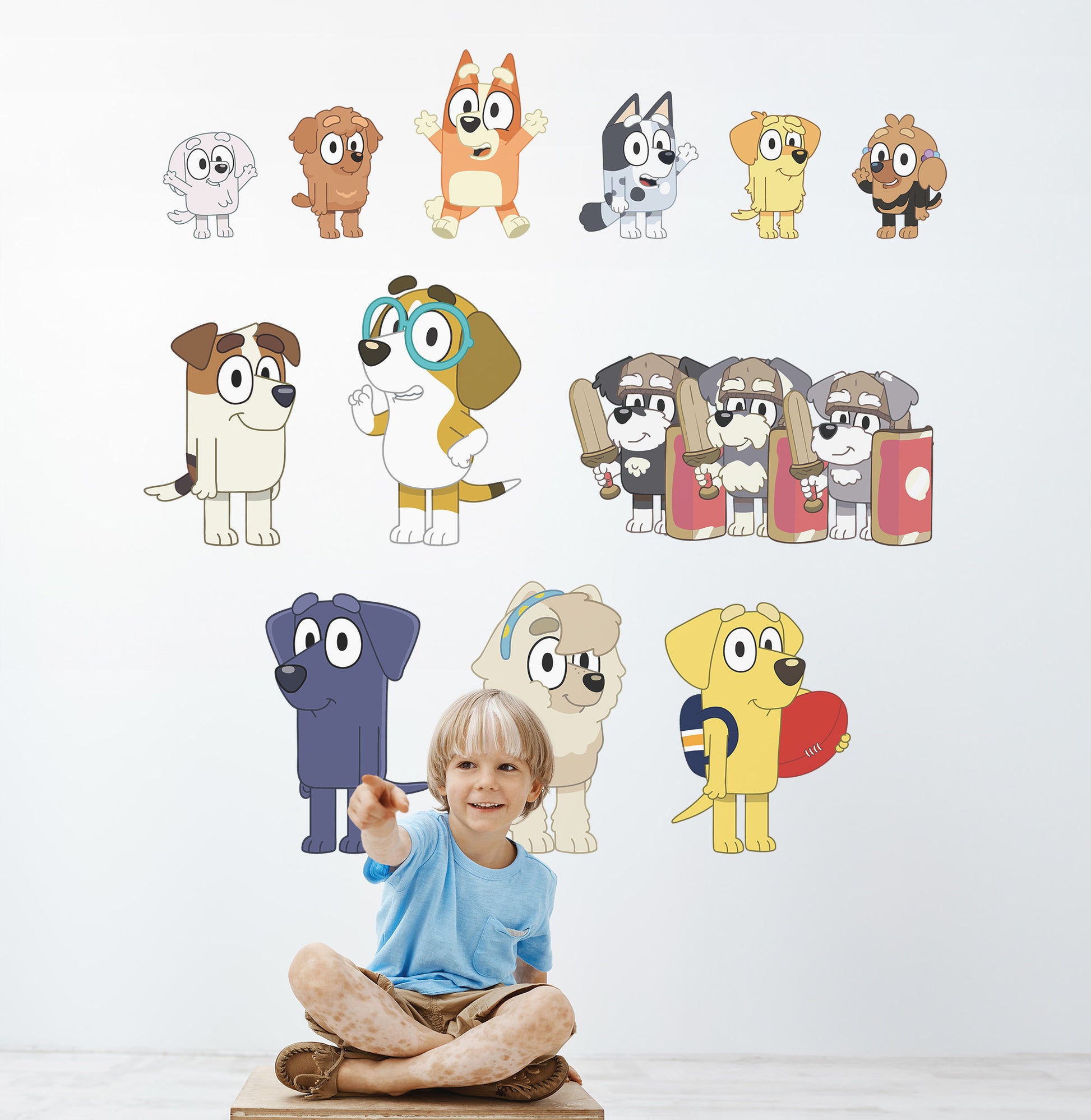display set-b